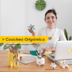 clases online de origami personalizadas